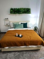 International Plaza (D2), Apartment #557549811